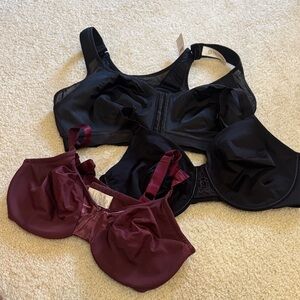 Women's Black and Burgundy Bras
